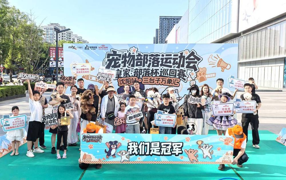 萌宠“比拼” 可爱爆表 - 图1