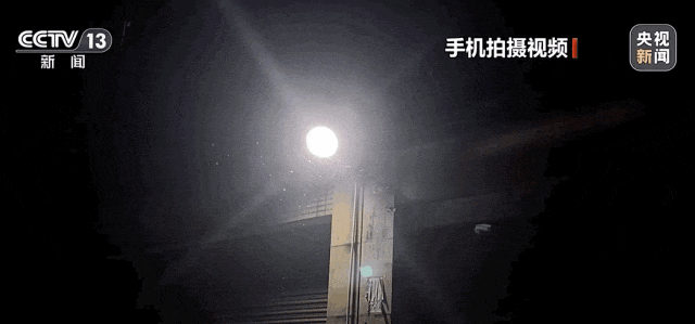 看似蚂蚁的小飞虫究竟是什么？科学处置记住“三步骤” - 图3