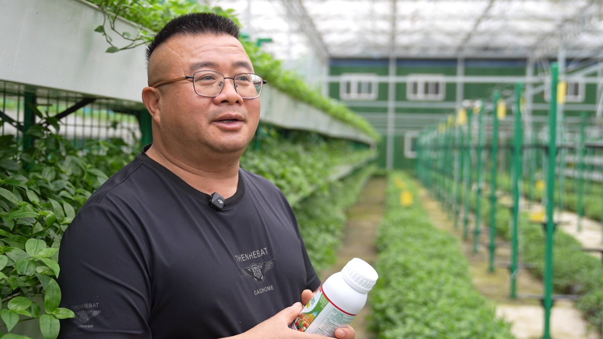 26年老把式，被这款肥料彻底“圈粉”！ - 图1