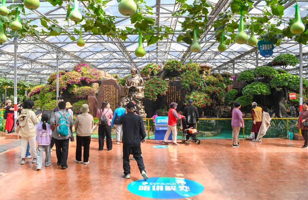 寿光菜博会落下帷幕，2.0版本“蔬菜嘉年华”接续上线 - 图1