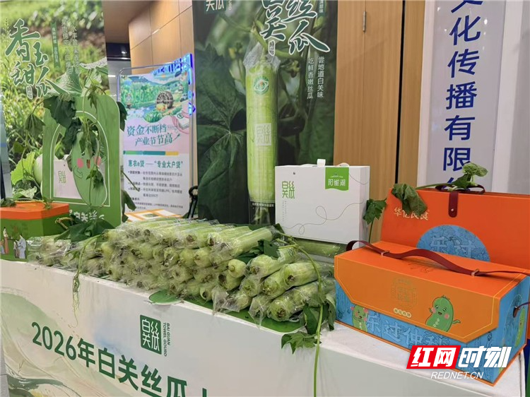 新鲜上市！2026白关丝瓜推介会落地长沙，双地标丝瓜解锁产业新玩法 - 图1