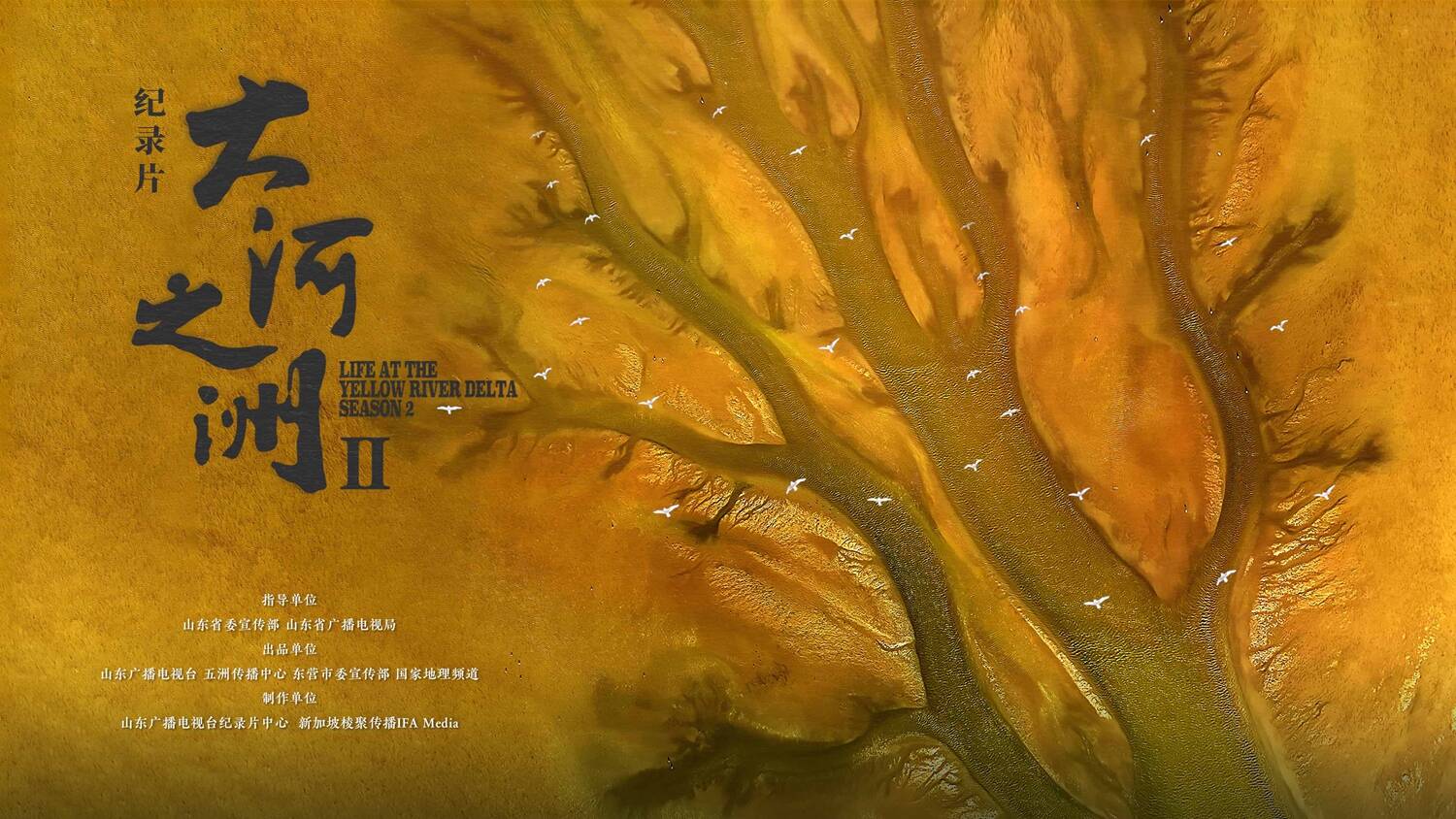 山东广播电视台社会责任报告（2025年度） - 图14