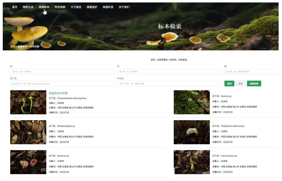 不会鉴别毒蘑菇？科学家建了两个数据库帮你 - 图1