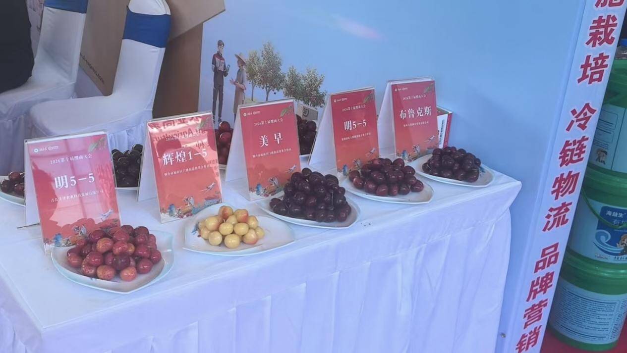 以会为媒聚樱商 锚定设施栽培新赛道 - 图5
