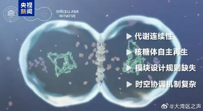 深圳早晨｜深圳最新通告：全市严格管控！ - 图15