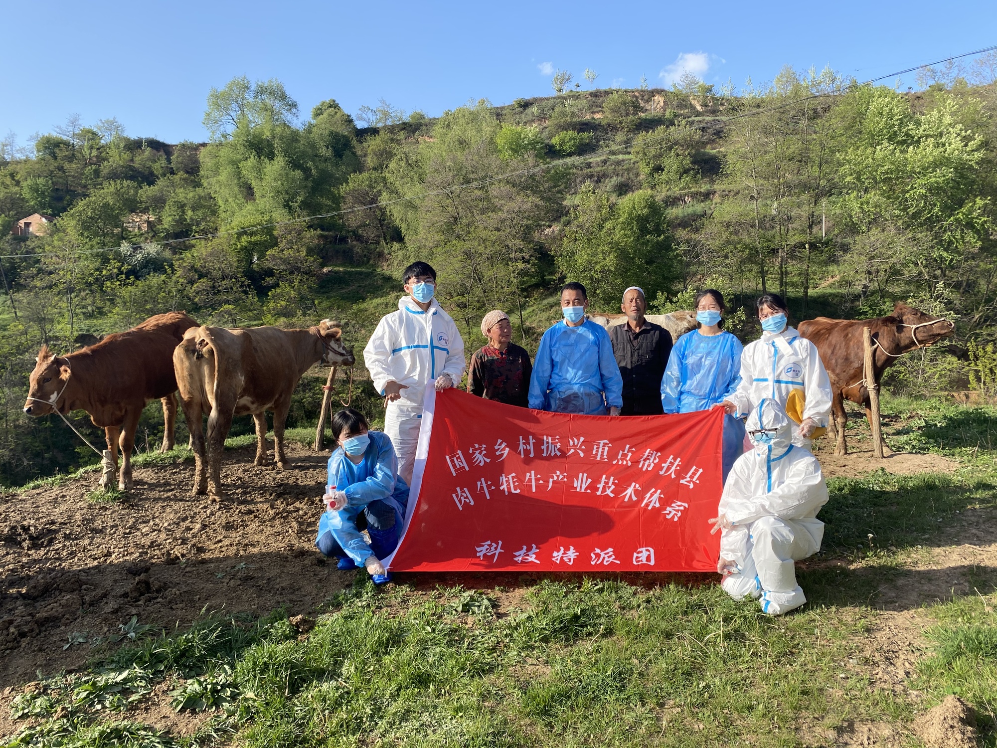 甘肃张家川：人才“牛”起来 产业“红”起来 - 图2