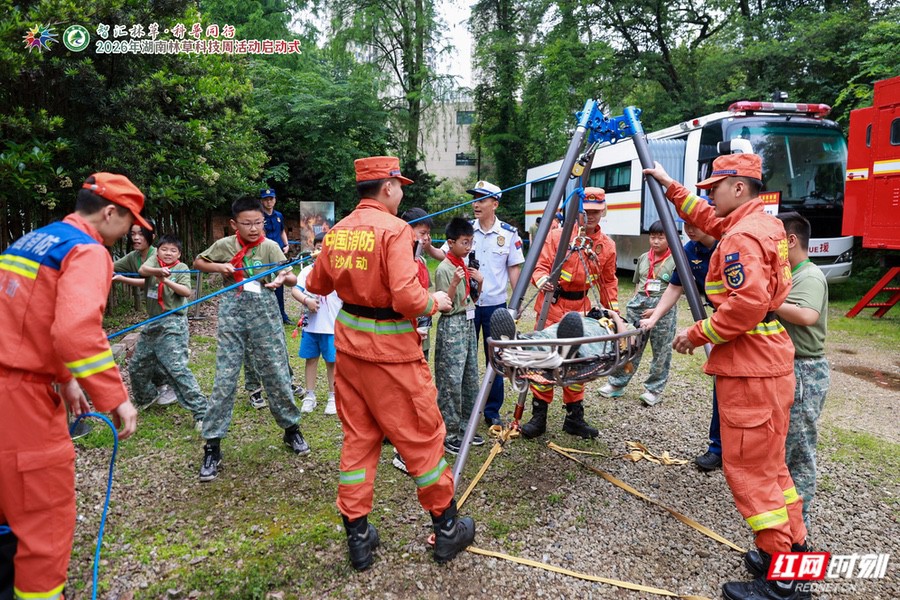 打造可看可摸可玩趣味体验 湖南林草科技周在省植物园启动 - 图4