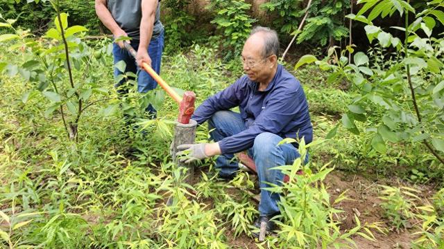 古稀发明达人赵树海：解决问题没有退休年龄 - 图1
