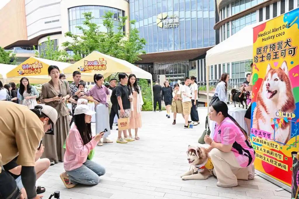 探索人宠友好新场景，第100届上海宠物领养日启幕 - 图4