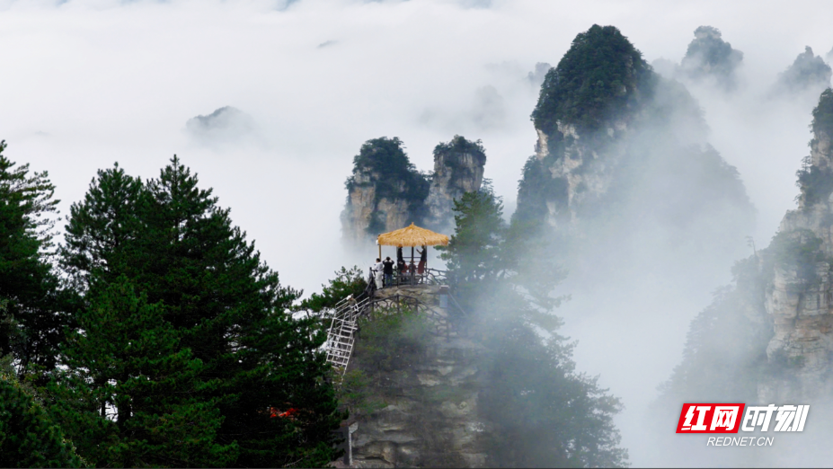 雾天寻仙问道 晴天勘探地貌 百变张家界尽显绝版风华 - 图3