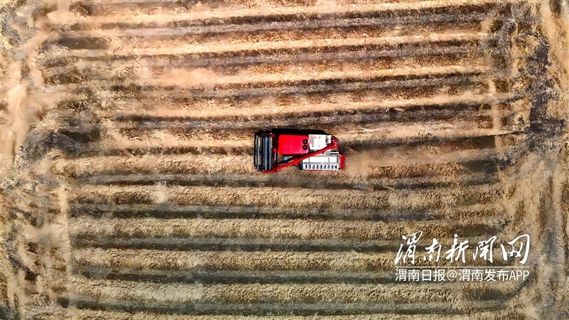 渭南麦客走四方 千里驰援保丰收 - 图2