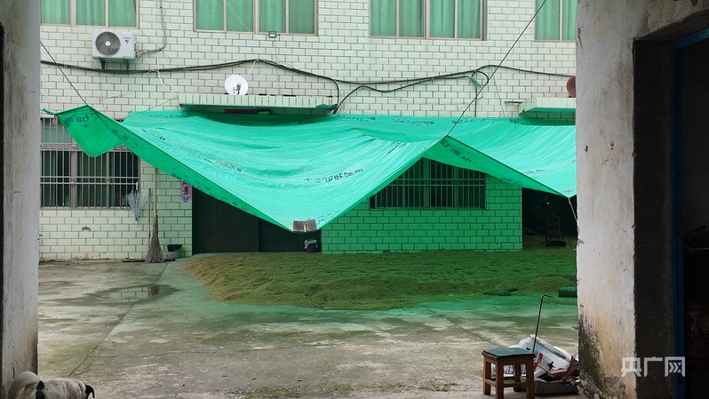 中国之声一线调研丨湖北襄阳夏粮抢收遇多重考验，如何进一步提高粮食生产抗灾能力？ - 图1