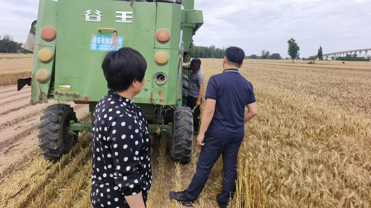 民权县双塔镇全力筑牢夏收夏种农业生产防线 - 图2