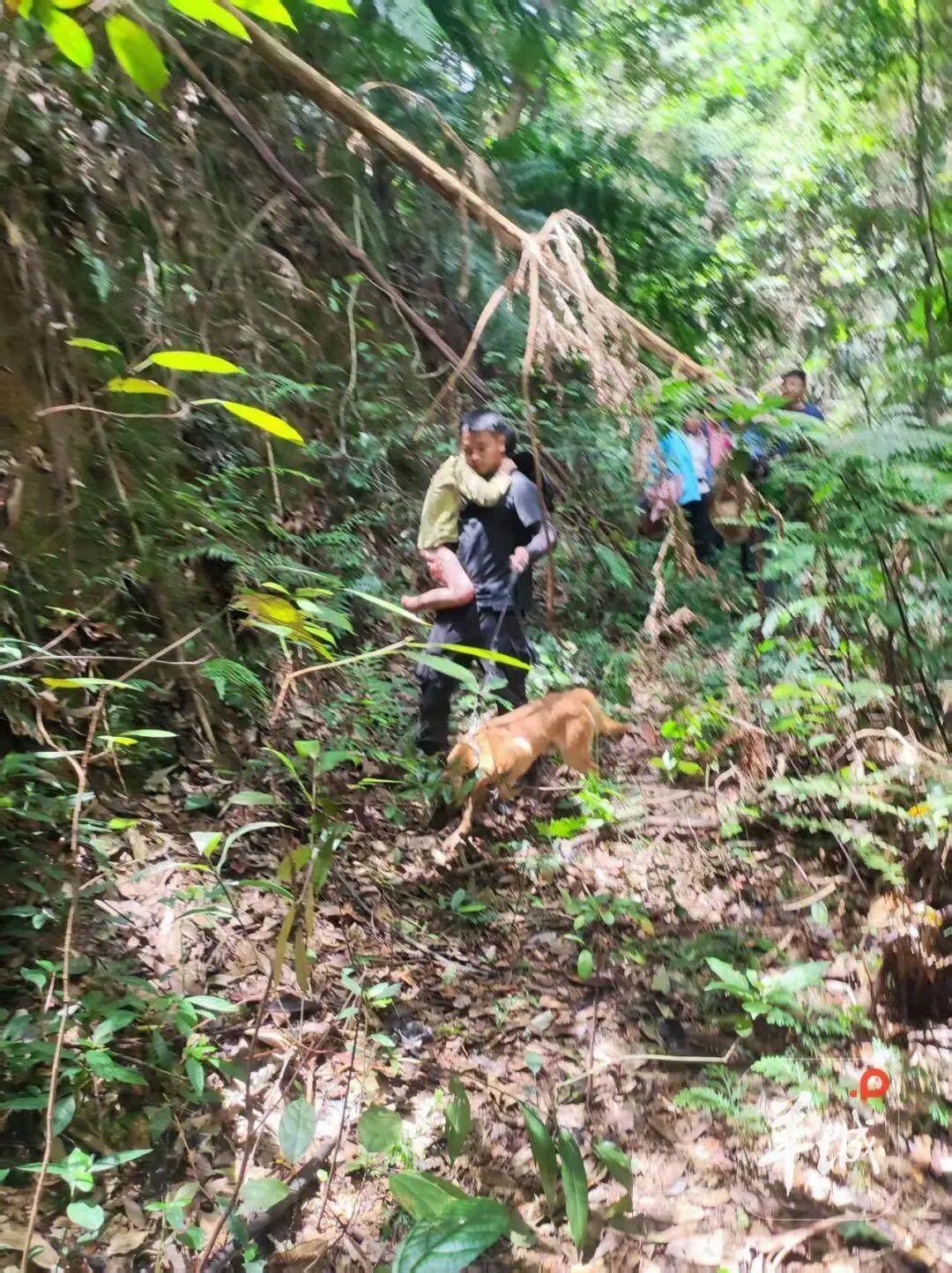 “肇庆男童深山走失13天”救援细节：采药村民发现男孩的裤子；男孩或靠野果生存，获救后紧紧搂住救援者脖子 - 图1