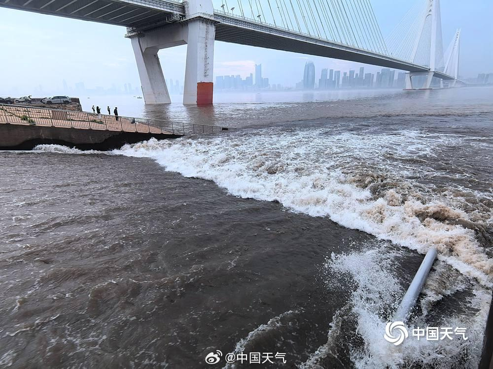 中国气象局：今年5月全国平均降水量为近10年同期最多，广东恩平、湖北荆州、江西上犹、广西贵港、湖北安陆日降水量突破历史极值 - 图4