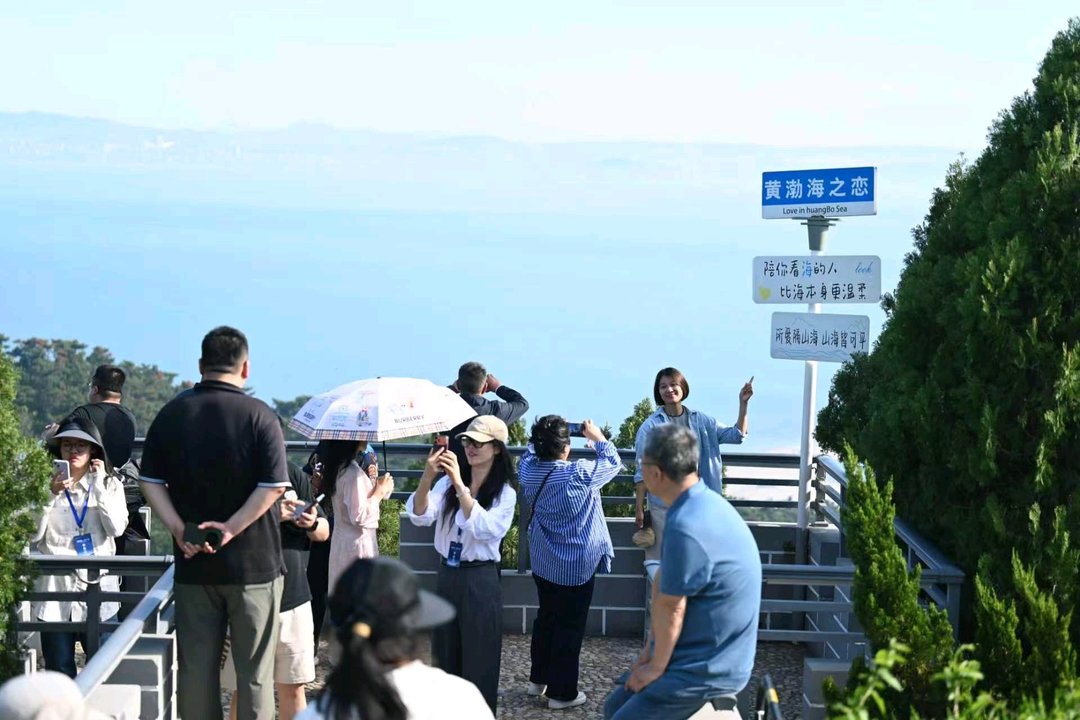 从1.8万亩养殖清退到87%自然岸线：长岛这盘“生态棋”下得有多大？ - 图5