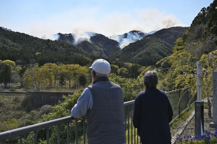 更多日本人“死了还要离” - 图1