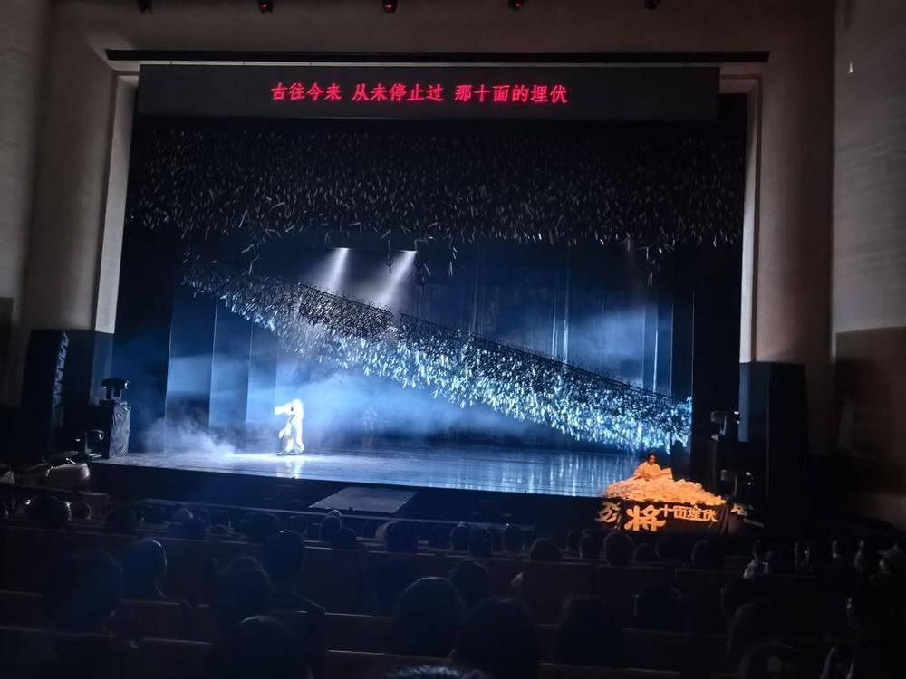 杨丽萍作品！2026版舞蹈剧场《十面埋伏》惊艳亮相辽阳 - 图3