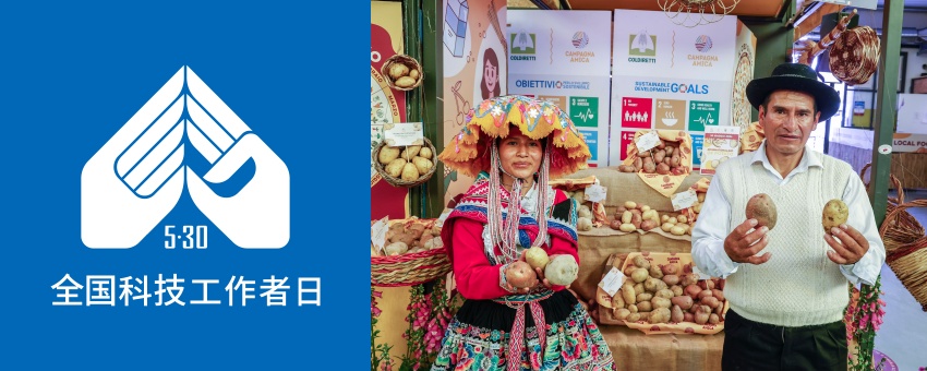 一颗土豆的“科学魔法”：“土豆逗科普少年团”在国际马铃薯日成立 - 图3
