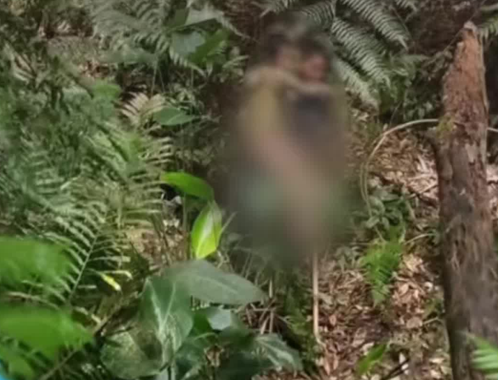 广东肇庆一男童深山走失13天，1000多人次搜山，最终警犬在距走失地约8公里处找到该男童，目前其已被家人接回 - 图1