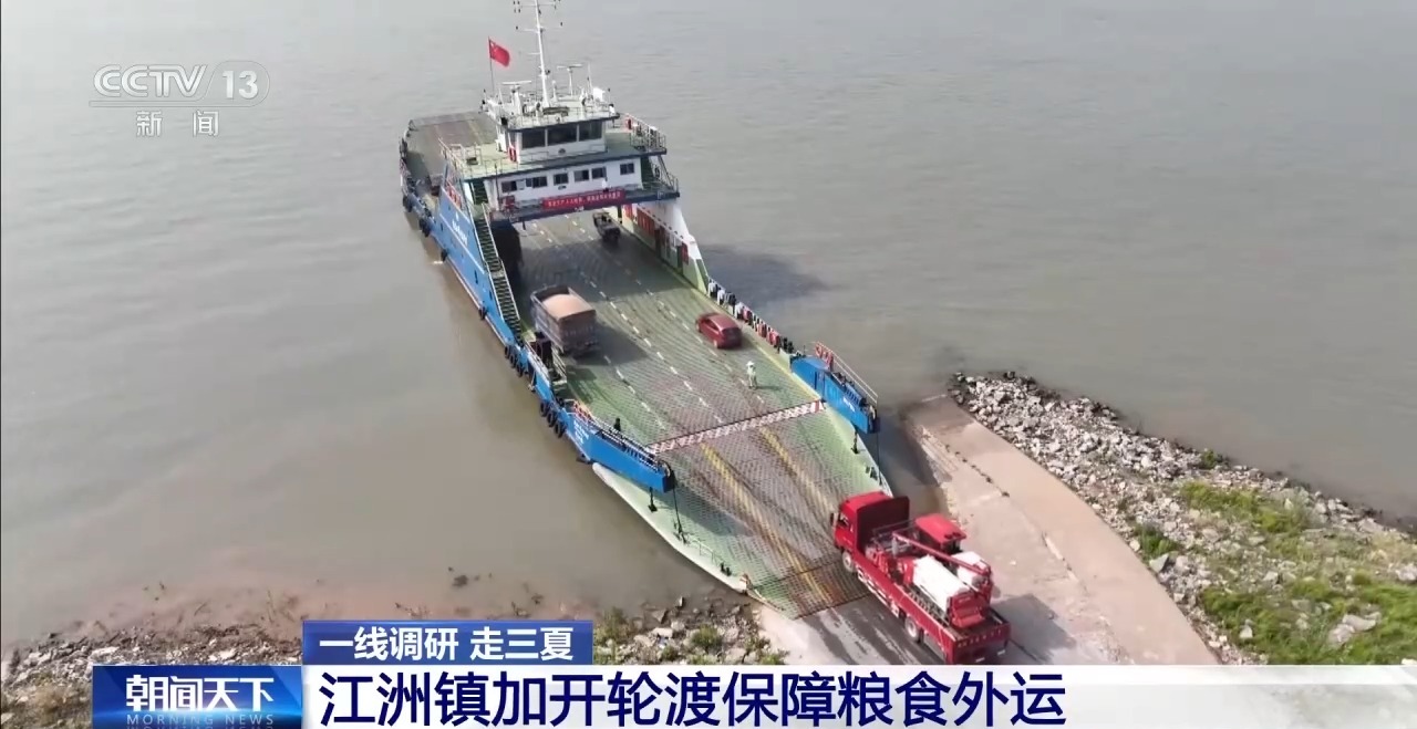 一线调研丨二次烘干+全天候保电 九江江洲镇全力抢收抢烘保麦收 - 图5