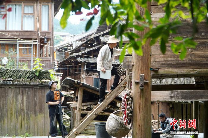 贵州给古建筑做“生物病害专项体检” - 图1
