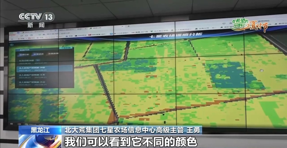 良法良种良机 寒地水稻增产新招让“不可能”成为现实 - 图7