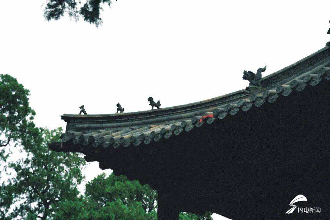 初夏寻幽王母池 邂逅泰山温柔时光 - 图7
