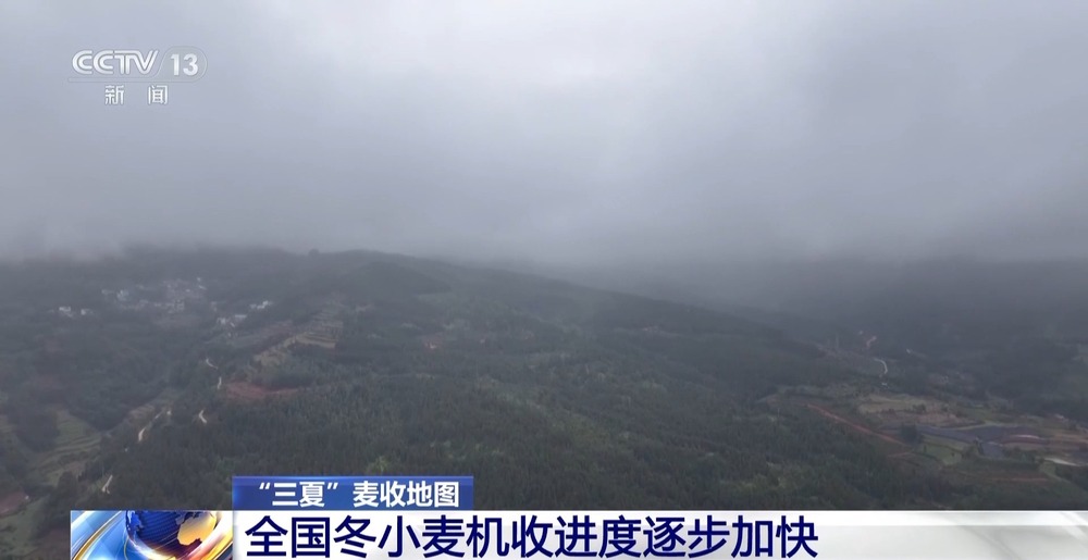 收获进度18.18% 全国冬小麦机收进度逐步加快 - 图1