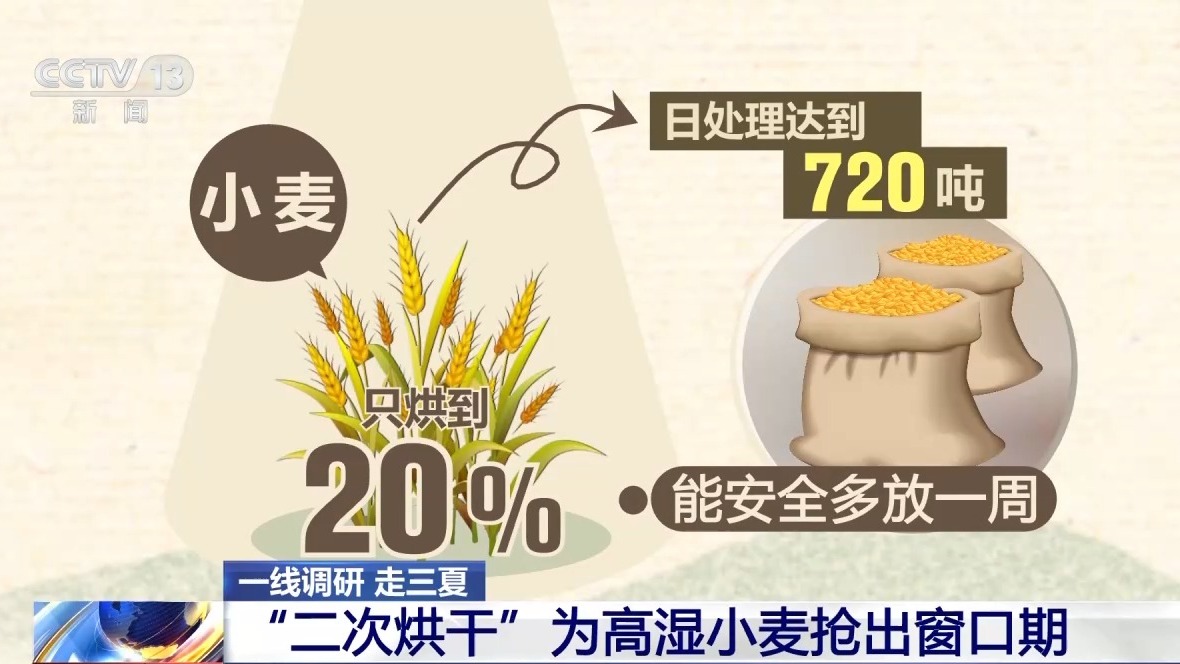 一线调研丨二次烘干+全天候保电 九江江洲镇全力抢收抢烘保麦收 - 图2