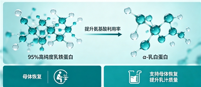国内十大乳铁蛋白品牌 2026 年 618 体面馈赠营养好物 - 图1