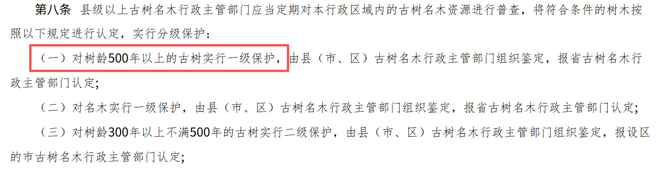 容不下600年古树的工业园，生态保护意识在哪里？丨中听 - 图6