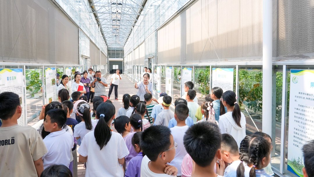 泥土里长出科学梦，童心里种下爱农情 - 图1