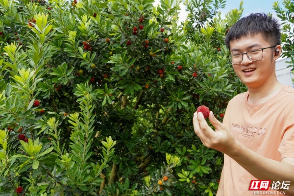 梅好时节遇心动！这群青年在靖州赴一场浪漫之约 - 图8