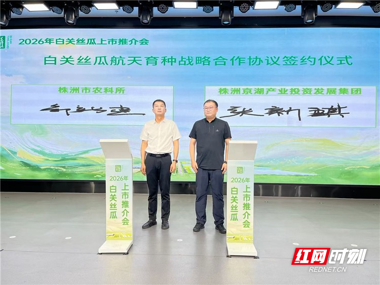新鲜上市！2026白关丝瓜推介会落地长沙，双地标丝瓜解锁产业新玩法 - 图4