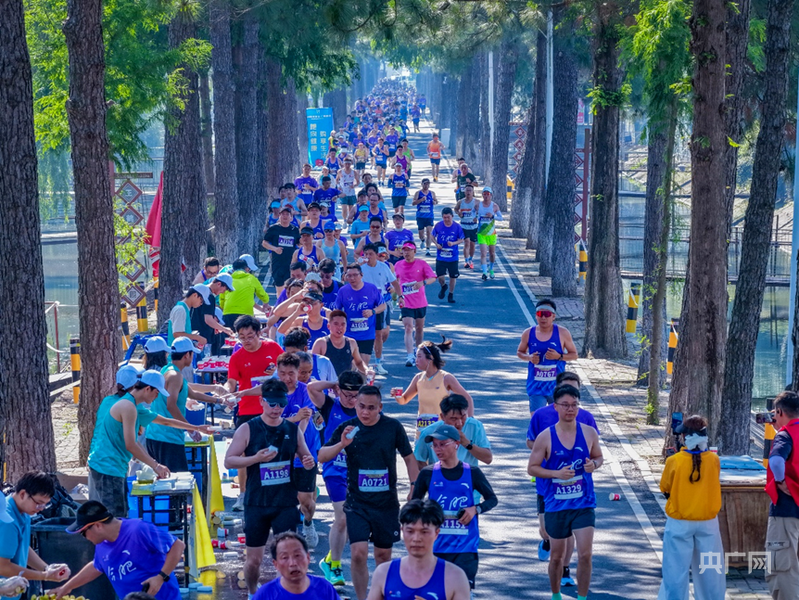包河全运汇健康跑暨合肥马拉松系列活动举行 - 图1