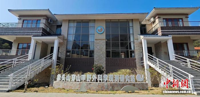 “穿山甲带崽”频现广东象头山 形成稳定繁殖种群 - 图2