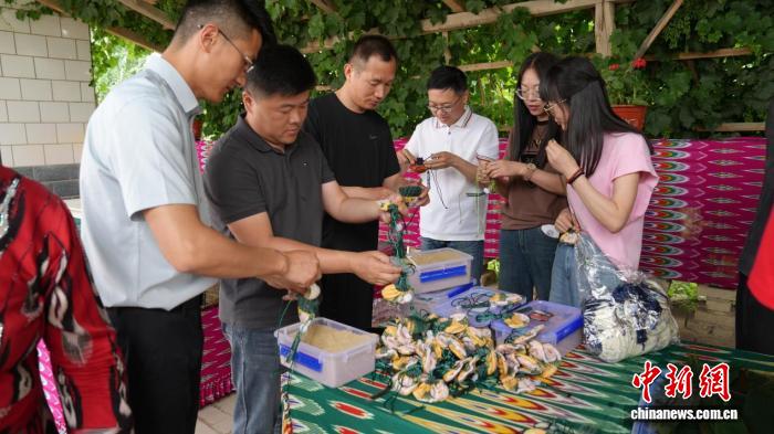 台州援疆干部变身“多面手” 援疆答卷里书写“浙疆情” - 图3