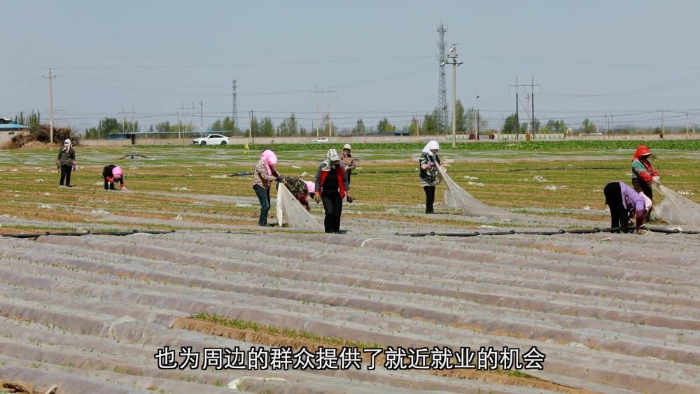 新华视点｜深耕特色富民产业 激活乡村振兴发展新动能 - 图2