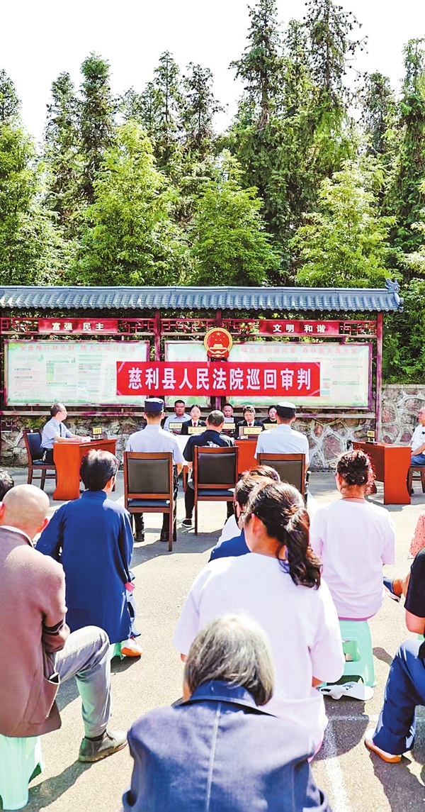 湖南慈利：林场审理涉陆生野生动物案 - 图1