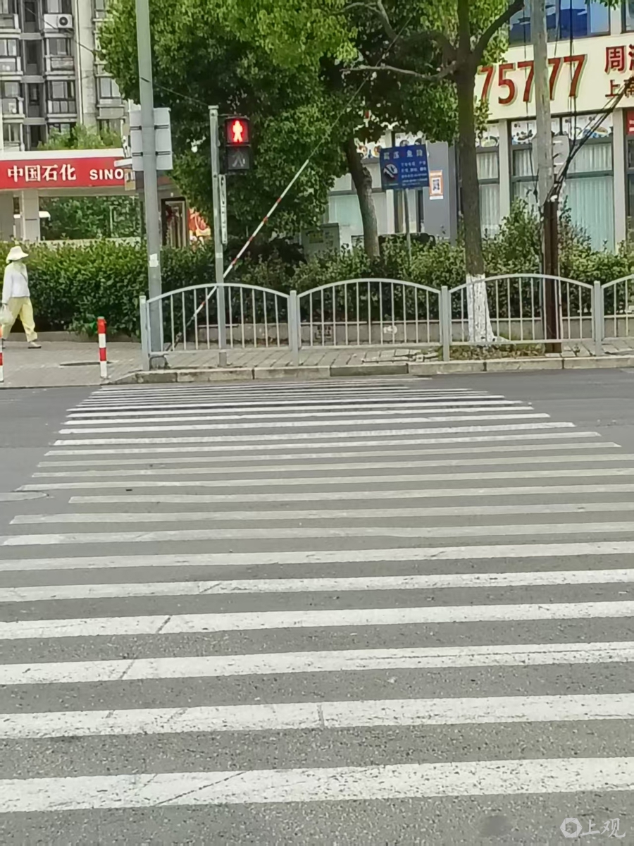 路口斑马线被 “堵门” 行人过街只能与电瓶车 “狭路相逢” - 图3