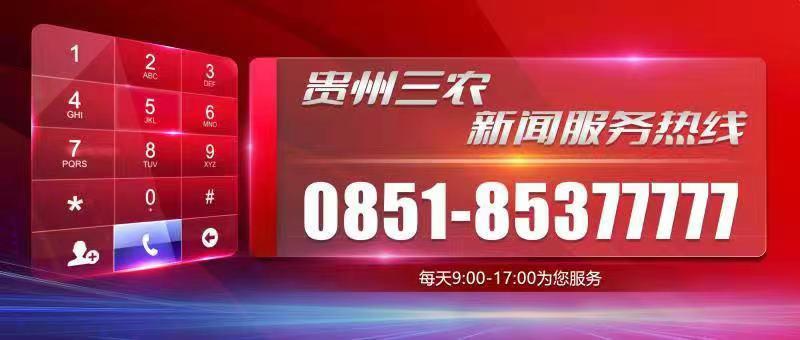 安徽合肥：机械插秧忙 - 图2