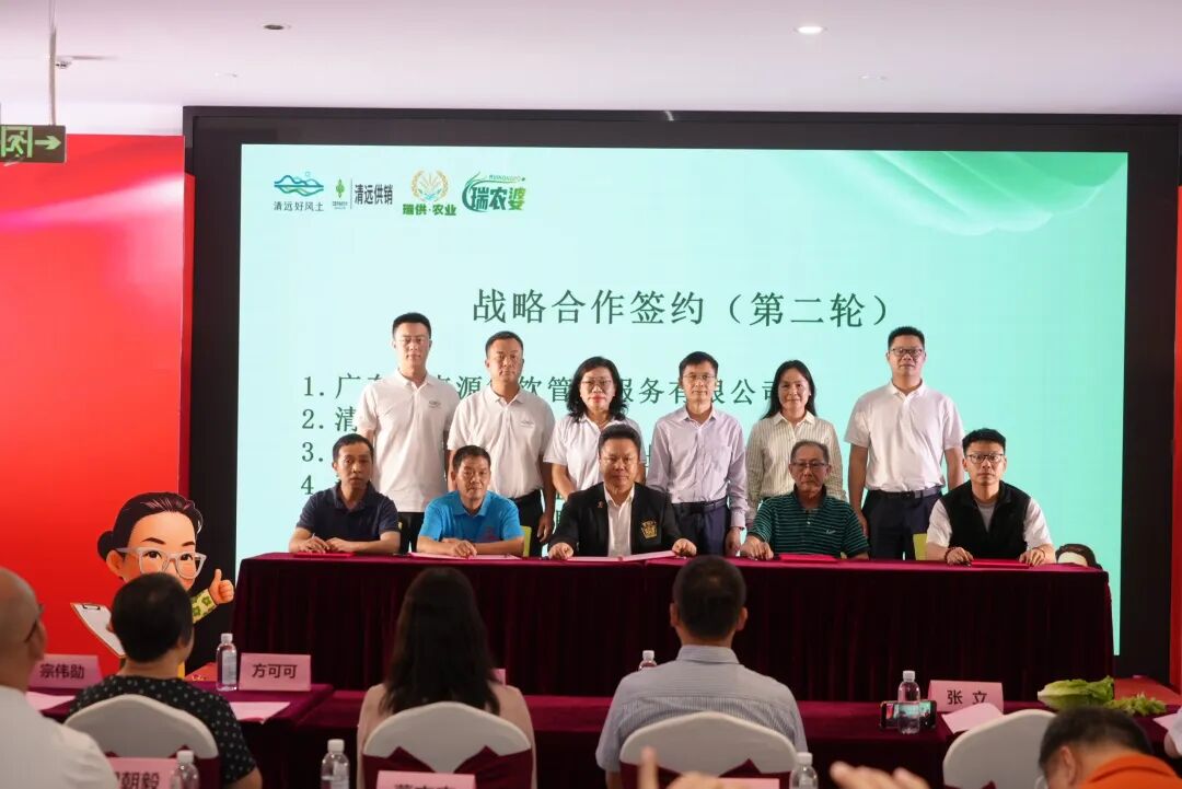 湾区赋能启新篇 清远馆盛大开业｜广东盈辉集团助力广清协作高质量发展 - 图6