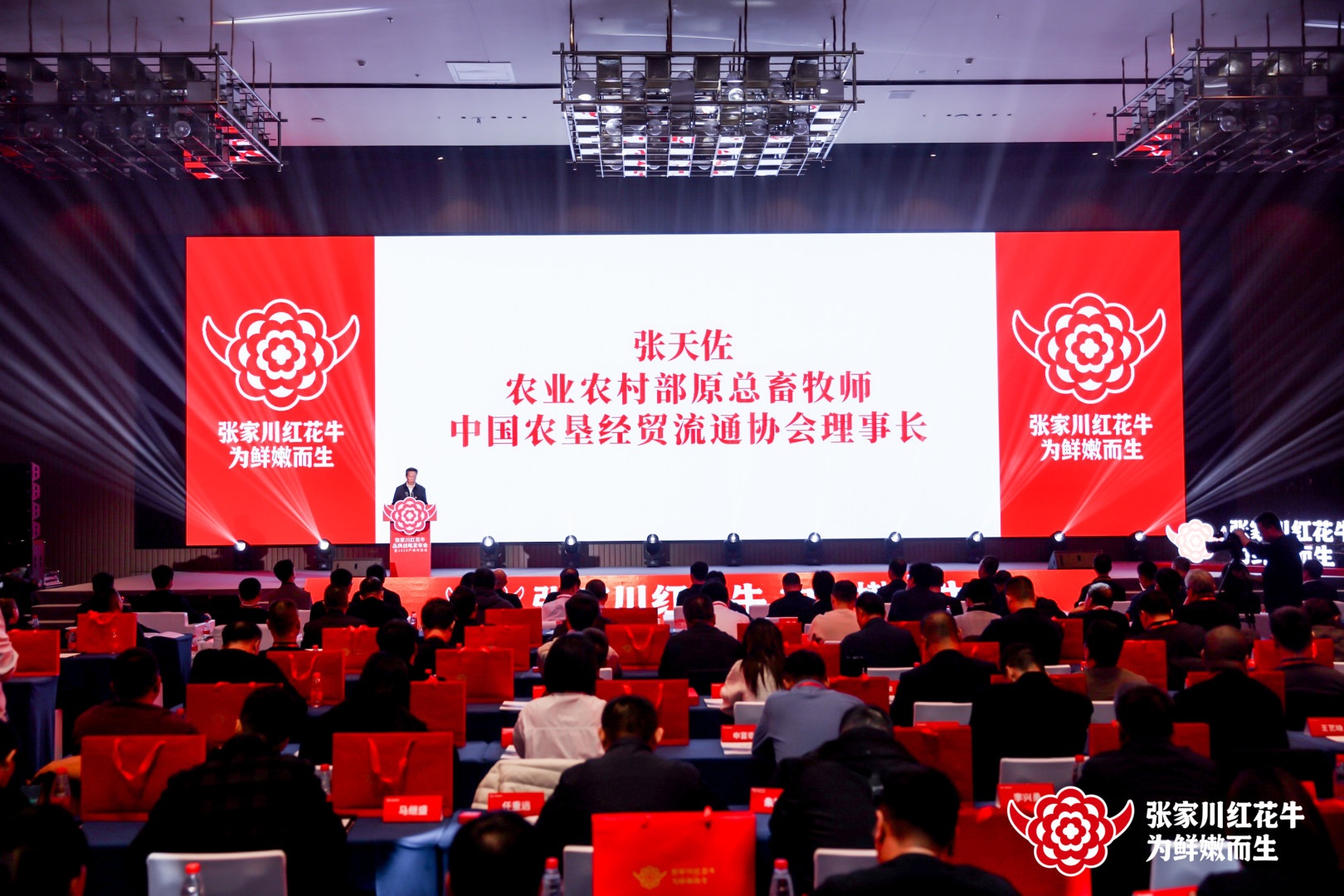 甘肃张家川：人才“牛”起来 产业“红”起来 - 图5