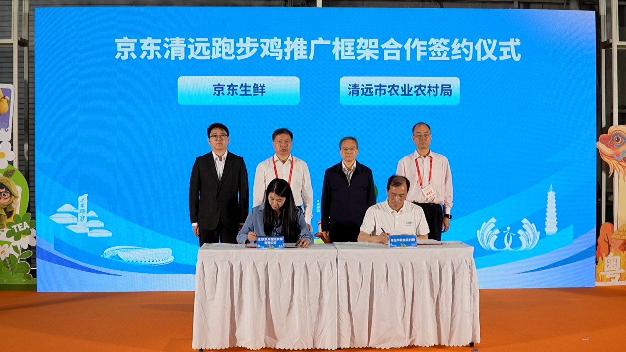 包下十几片山头养鸡！京东生鲜“包园”清远跑步鸡，每只鸡多返3元给农户 - 图2