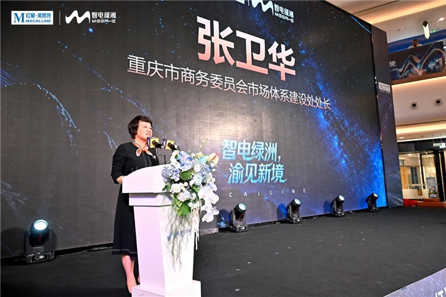 红星美凯龙西南首座MEGA-E智电绿洲开业，“店态创新”成“智电2.0”破局关键 - 图2