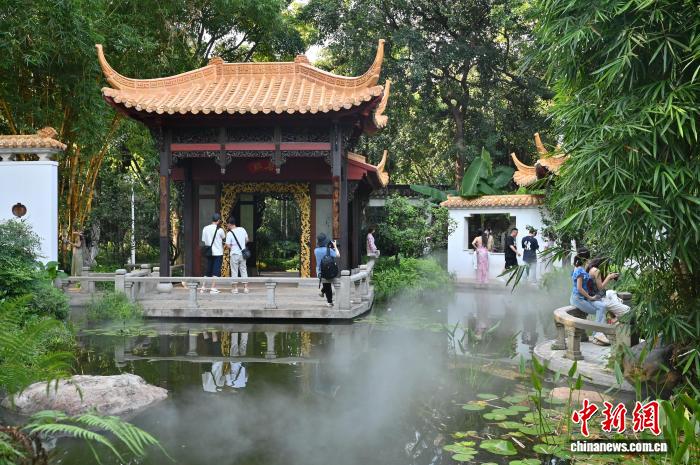 广州兰圃：岭南园林邂逅兰文化与中式美学 - 图8