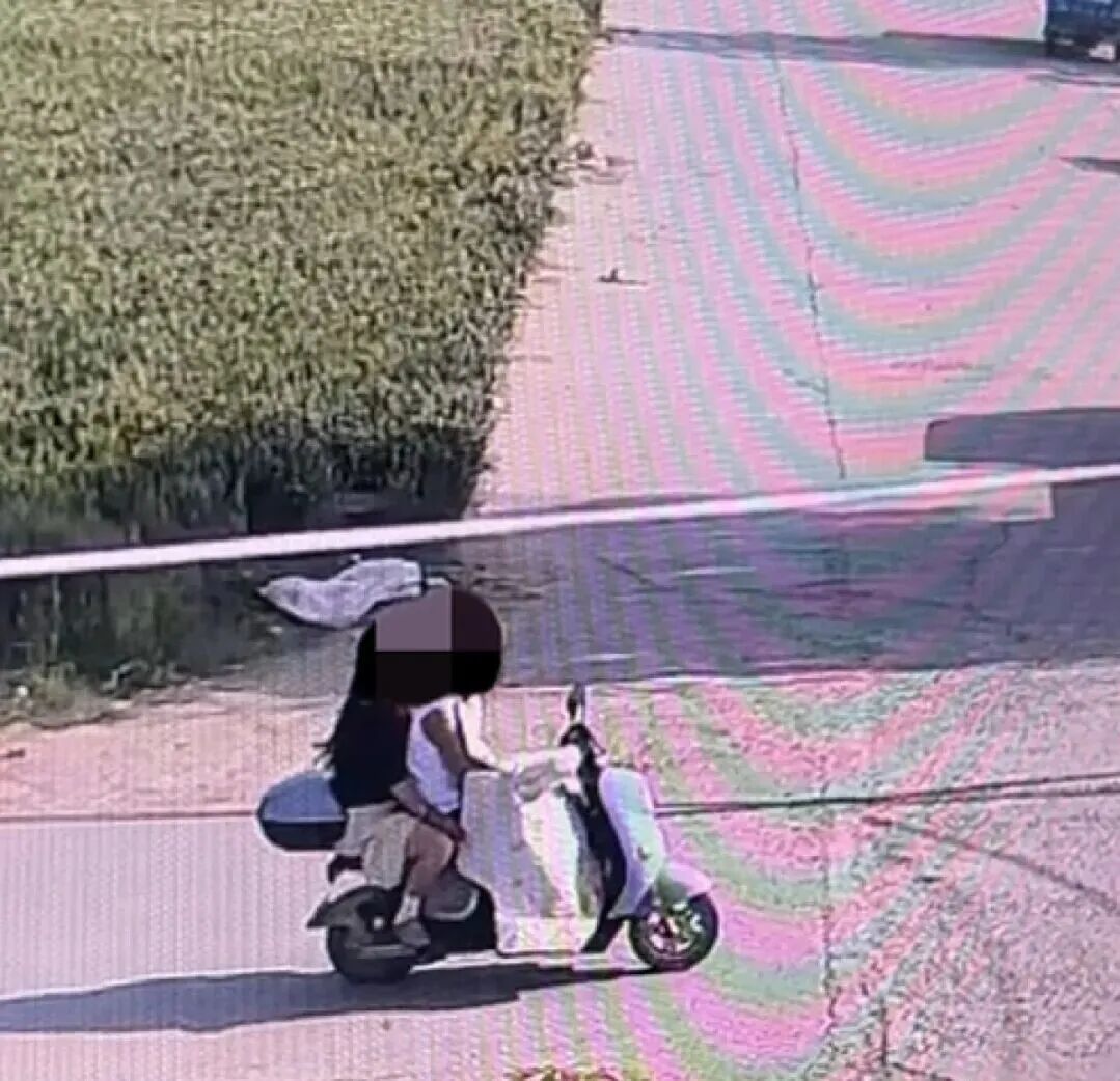 百万粉丝网红边牧被人顺走并以180元转卖遭宰杀，主人悬赏5000元寻找，警方已行政立案 - 图3