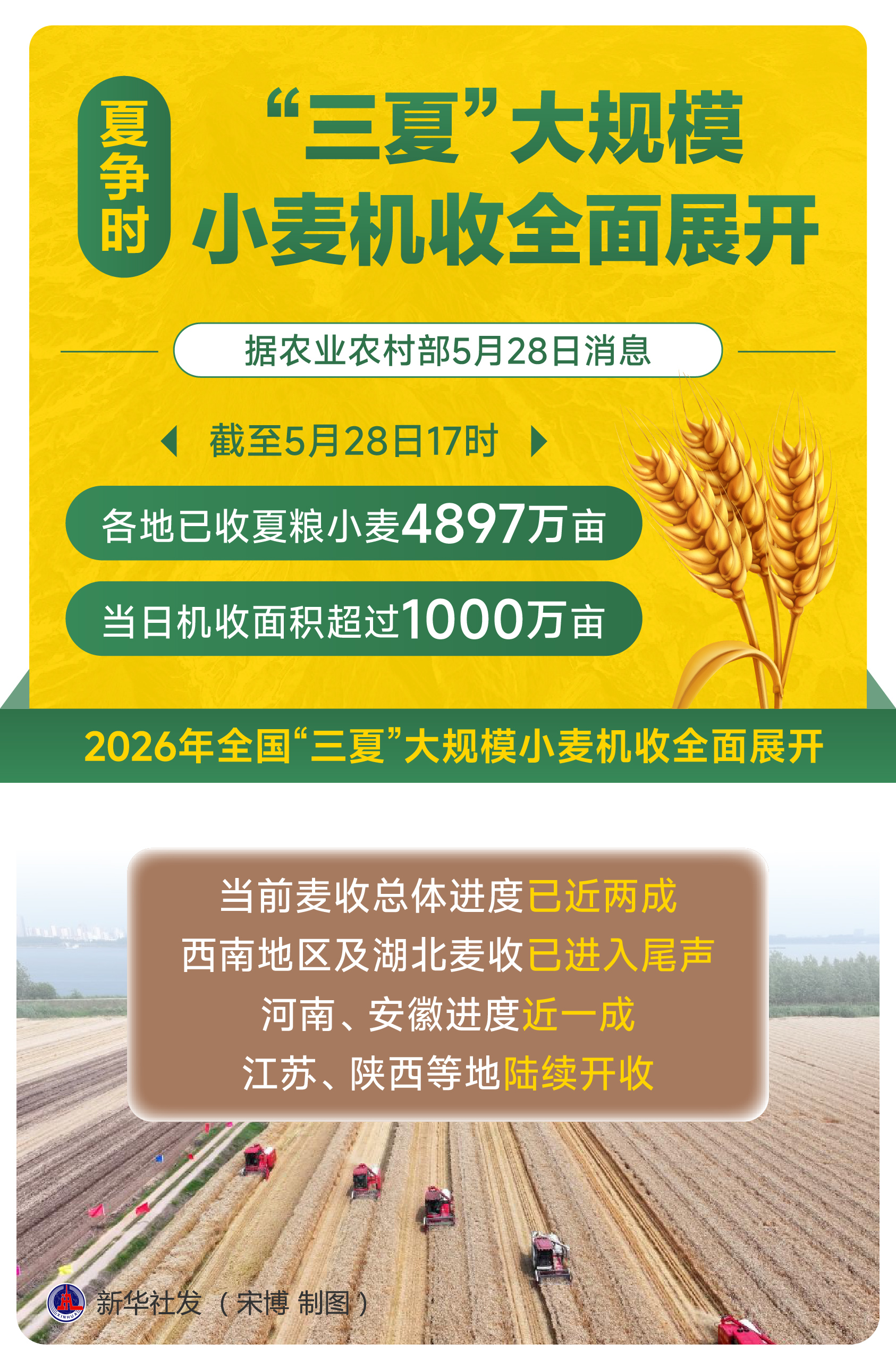 （图表）新华鲜报丨夏争时 “三夏”大规模小麦机收全面展开 - 图1