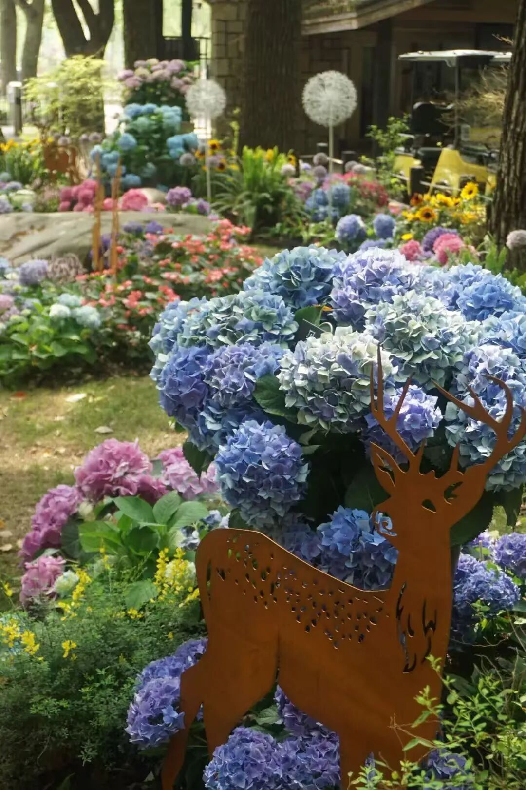 免费参观！花中“彩虹女神”已盛开，5000平绝美花海等你打卡 - 图13